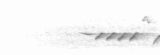 Common Redstart (Common) - ML203916001
