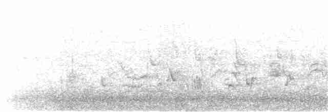 Кропив’янка чорноголова - ML203916051