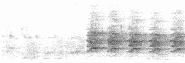 Ошейниковый зимородок - ML203916091