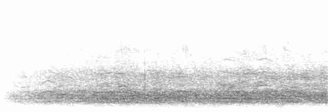 husa velká (ssp. anser) - ML203916391