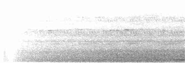 Сова-голконіг далекосхідна - ML203916821