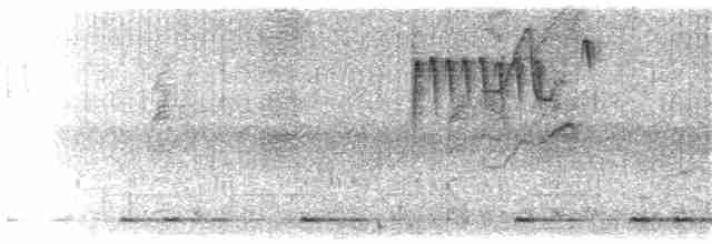 Gould Nektarkuşu (annamensis) - ML203917401