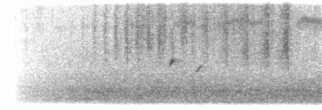 Long-tailed Rosefinch - ML203917521