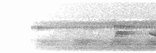 Yeşil-Kara Cüce Barbet (hildamariae) - ML203917731