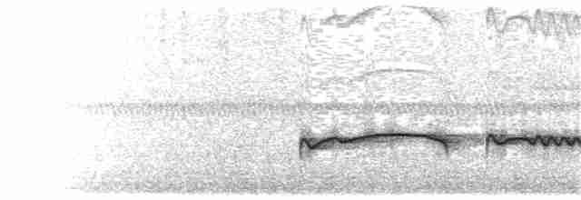 Höhennachtschwalbe [ruwenzorii-Gruppe] - ML203917741