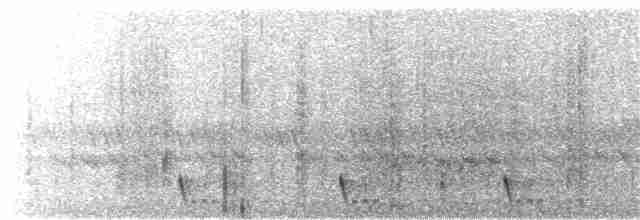Large-tailed Nightjar - ML203917931