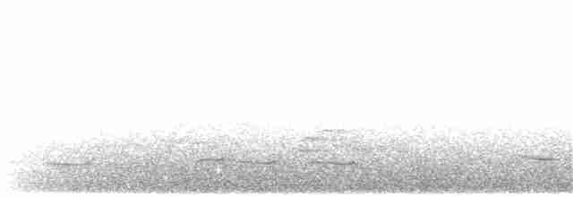 Серый павлиний фазан - ML203918291