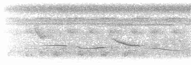 Синьодзьоб чорноголовий (підвид haematina/togoensis) - ML203918641
