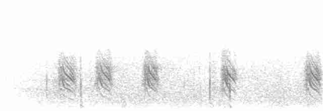 vlhovec člunoocasý (ssp. westoni) - ML203918921