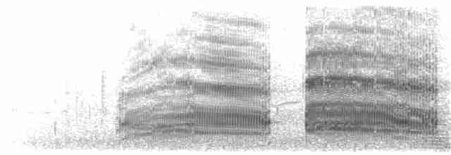 Mouette argentée (scopulinus) - ML203920041