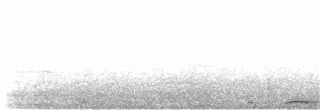 Küpeli Üveyik (chinensis/tigrina) - ML203920141