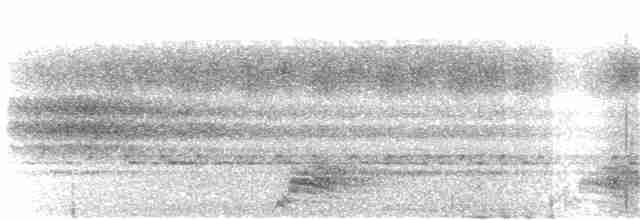 Rotschnabel-Brillenvanga (caniceps) - ML203921151