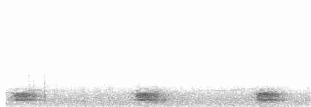 Wetar Scops-Owl - ML203921661