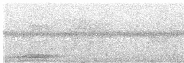 holub modroocasý - ML203921761