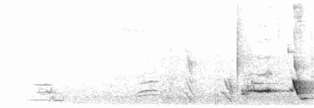 Méliphage carillonneur - ML203921871