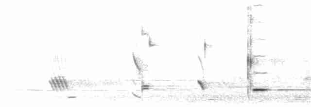 Méliphage carillonneur - ML203921991