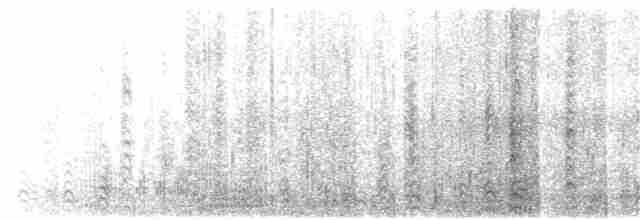 buřňák černobílý (ssp. capense) - ML203922071