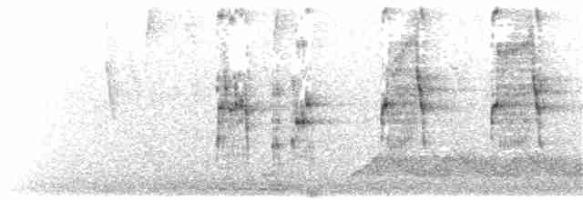 Аракарі плямистоволий (підвид sanguineus) - ML203922551