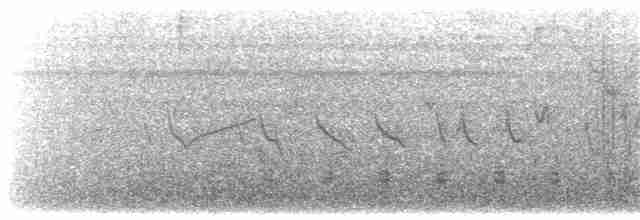 Зерноїд вороний [група ophthalmica] - ML203922601