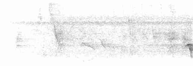 Kara Başlı Çıtkuşu (nigricapillus/connectens) - ML203922631