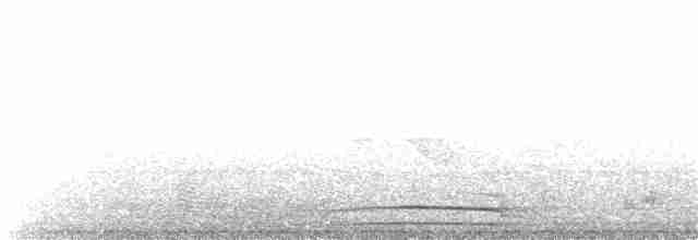 Western Long-tailed Hornbill - ML203923311