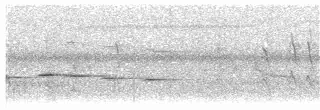 Northern Fantail (Banda Sea) - ML203923501