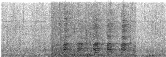 Квак широкодзьобий (підвид cochlearius/panamensis) - ML203923951