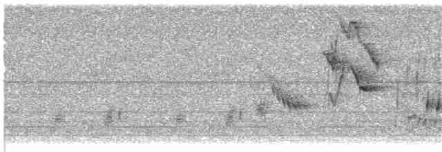 Büyük Kahverengi Kırlangıç (tapera) - ML203923971