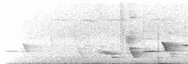 Méliphage carillonneur - ML203924131