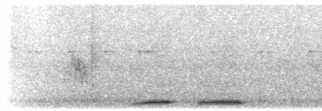 Кукушечья иглоногая сова - ML203924251