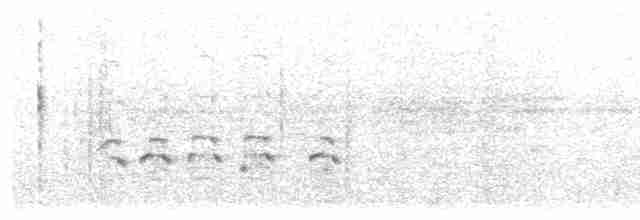 Fischadler (haliaetus) - ML203924731