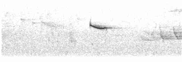 isfugl (atthis gr.) - ML203925331