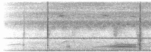 holub modroocasý - ML203926111
