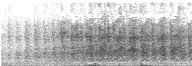 svarthetteskriketrost (reinwardtii) - ML203927551