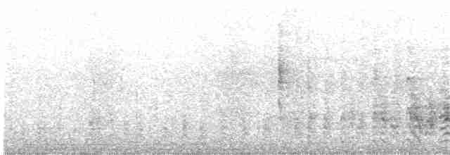 svarthetteskriketrost (reinwardtii) - ML203927561
