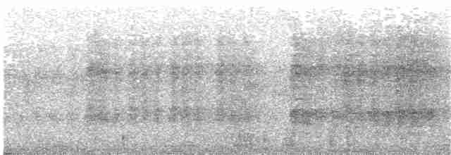 svarthetteskriketrost (reinwardtii) - ML203927571