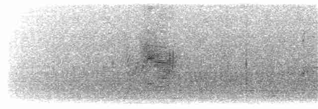 סנונית משורטטת - ML203928341