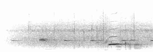 黃嘴角鴞 - ML203928471