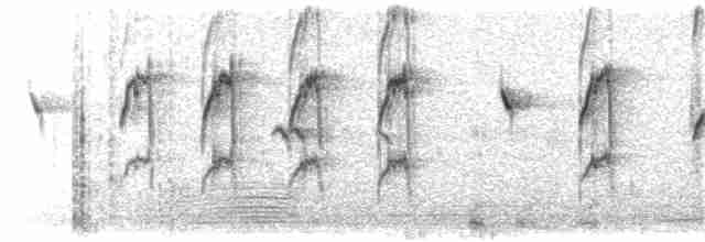 Щеврик гірський (підвид spinoletta) - ML203928611
