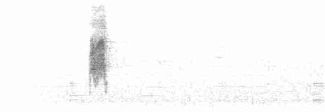 Zozo paparzuria (alpestris) - ML203928651