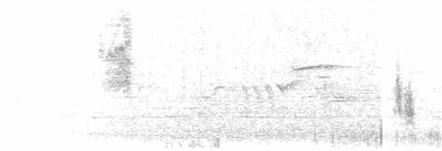 Boğmaklı Ardıç (alpestris) - ML203928661