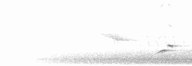 rødkardinal (cardinalis gr.) - ML203928811
