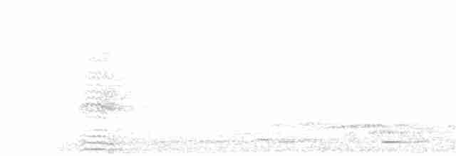 Рюкюйский вальдшнеп - ML203929391