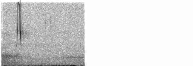 Kestane Kanatlı Sinklot - ML203929831