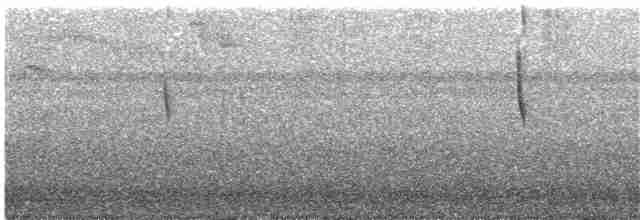 Колібрі-кокетка плямисточубий - ML203930131