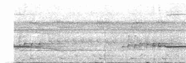 Striped Wren-Babbler - ML203930251