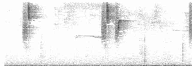 Зелоногрудый фиалкоух (cyanotus/crissalis) - ML203931941