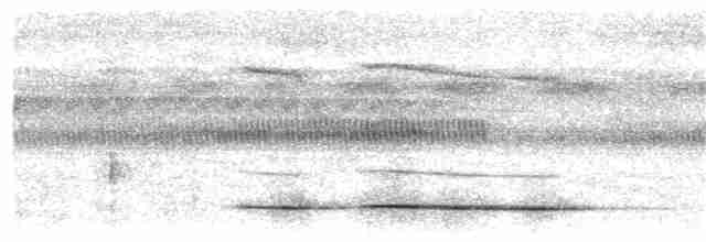 Ochre-striped Antpitta - ML203932011