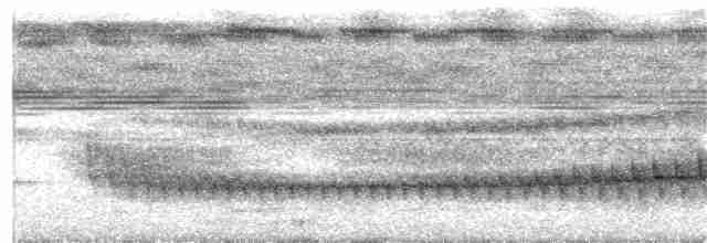 Striped Woodcreeper - ML203932071