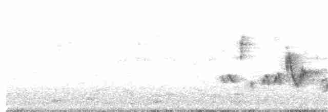 Gartengrasmücke - ML203933061